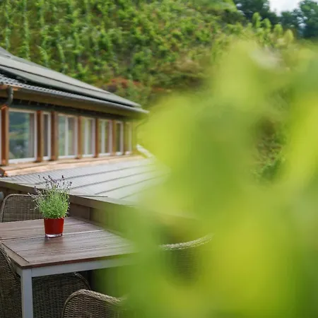 Eichberg By Ranaela 3* Glottertal